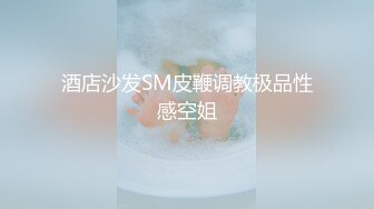 麻豆传媒 MD0200-2 隐秘的角落 下集 夏晴子