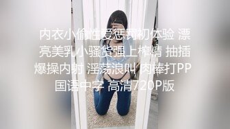 内衣小偷性爱惩罚初体验 漂亮美乳小骚货强上榨精 抽插爆操内射 淫荡浪叫 肉棒打PP 国语中字 高清720P版