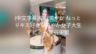 【中文字幕】SNIS-279 在電車上被癡漢侵犯上癮的巨乳女大學生 夢乃あいか(夢乃愛華)