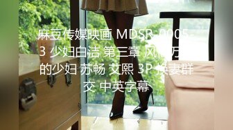 麻豆传媒映画 MDSR-0005-3 少妇白洁 第三章 风情万种的少妇 苏畅 艾熙 3P 换妻群交 中英字幕