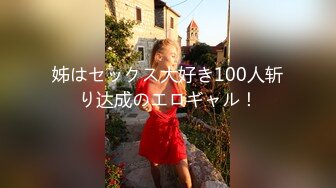 姊はセックス大好き100人斩り达成のエロギャル！