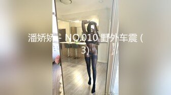 潘娇娇 - NO.010 野外车震 (3)