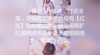 STP25668 九头身【170cm顶级美腿女神】风油精抹逼，跳蛋女用倒模骑坐，从下往上视角棒球棍抽插，黑色网袜长腿高跟鞋