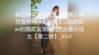 麻豆传媒旗下女优「苏畅」of性爱教程&大尺度生活私拍&av拍摄花絮清纯白虎反差小淫女【第二弹】_iris3