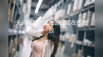 无码精品一区二区三区在线播放