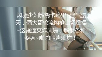 我专属的女仆