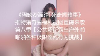 【原创国产精选】肉便器熟女母狗淫妻，先插逼、后爆菊，精彩对白！