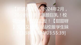 大像传媒-车行美女业务的成交攻略-苏雨彤