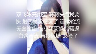 全套情趣空姐制服外围美女，修长美腿渔网袜，吸吮舔屌插嘴口活一流，扶着细腰后入肥穴，站立侧入镜头前一进一出