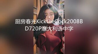 厨房春光KicktheCock2008BD720P意大利语中字