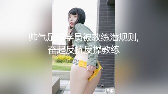 凌辱人妻系列2