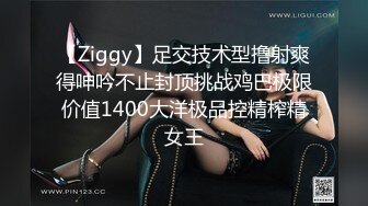 【伊玫瑰】高颜值河南小少妇，良家感十足，跟粉丝啪啪无套，自慰用黄瓜 (1)