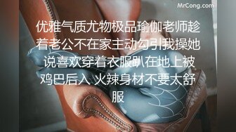 合租极品美女室友2