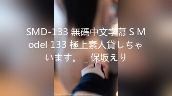 SMD-133 無碼中文字幕 S Model 133 極上素人貸しちゃいます。 _ 保坂えり