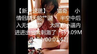 阿朱内部私购 NO.025 女仆与猫