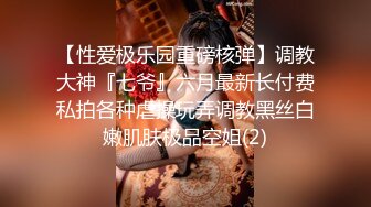 STP27364 女神姐妹花【无敌兔兔】双女一起自慰  互揉奶子假屌插穴  性感红色吊带丝袜 跳蛋震穴玩的很嗨 VIP0600