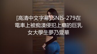 [高清中文字幕] SNIS-279在電車上被痴漢侵犯上癮的巨乳女大學生夢乃愛華