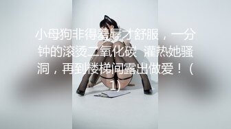 发情中的小南让你整天维持勃起的痴女痴女约会 初川南