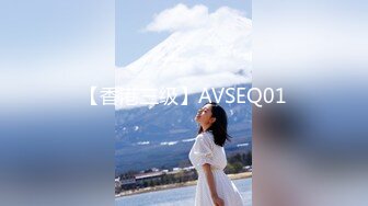 【香港三级】AVSEQ01