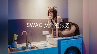 SWAG 女仆的服务