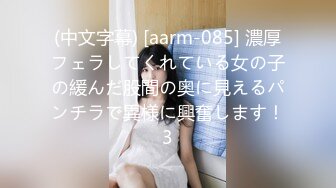 (中文字幕) [aarm-085] 濃厚フェラしてくれている女の子の緩んだ股間の奥に見えるパンチラで異様に興奮します！3