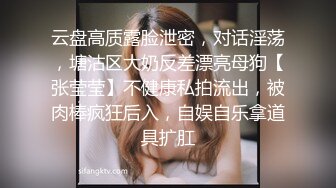 云盘高质露脸泄密，对话淫荡，塘沽区大奶反差漂亮母狗【张莹莹】不健康私拍流出，被肉棒疯狂后入，自娱自乐拿道具扩肛