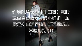 约炮PUA大神【丰田哥】露脸玩肏高颜值女神级小姐姐，车震足交口活吞精，听话乖巧非常骚母狗 (1)