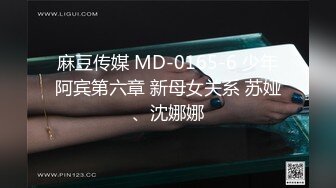 麻豆传媒 MD-0165-6 少年阿宾第六章 新母女关系 苏娅、沈娜娜